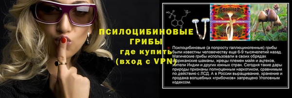 мдпв Вязьма