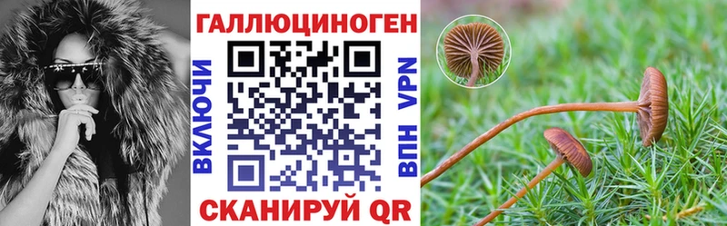 даркнет сайт  Заозёрск  Галлюциногенные грибы Psilocybine cubensis 